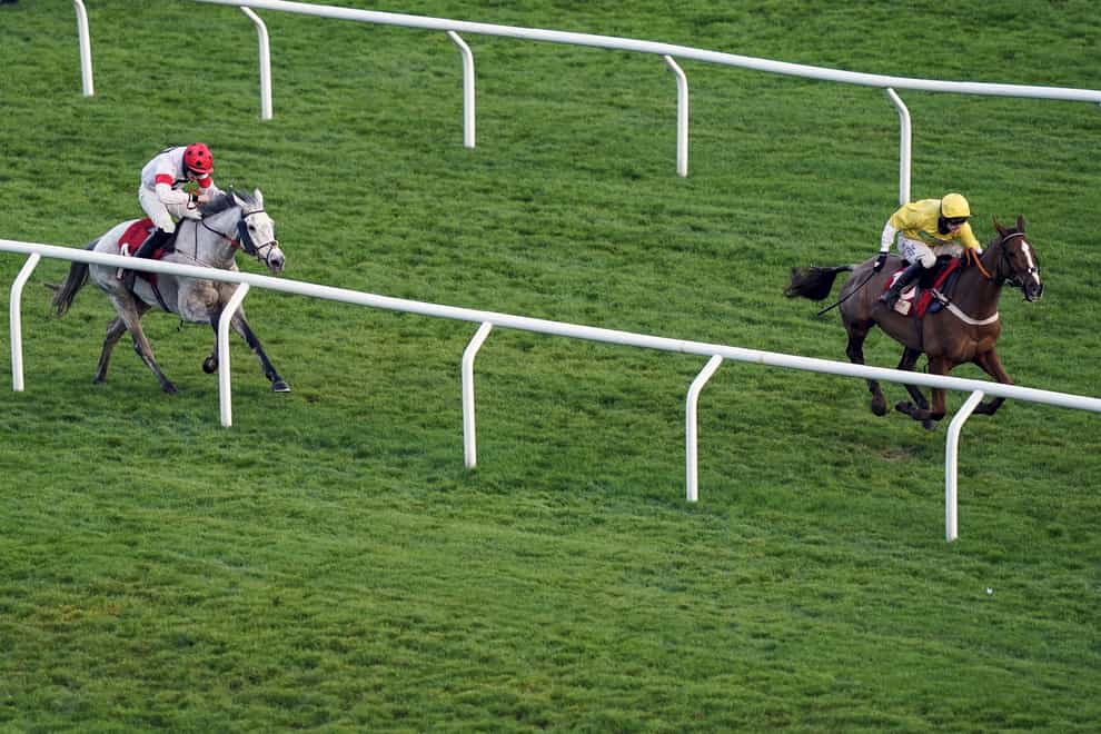 Some Neck (grey) is not yet guaranteed a run in the Randox Grand National