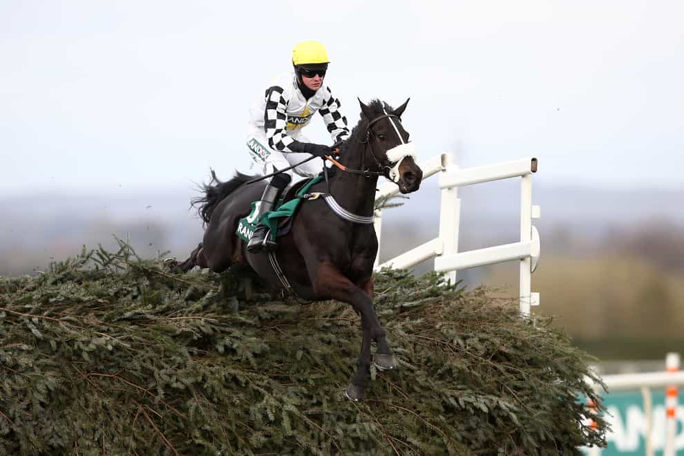 Cousin Pascal shone over the National fences