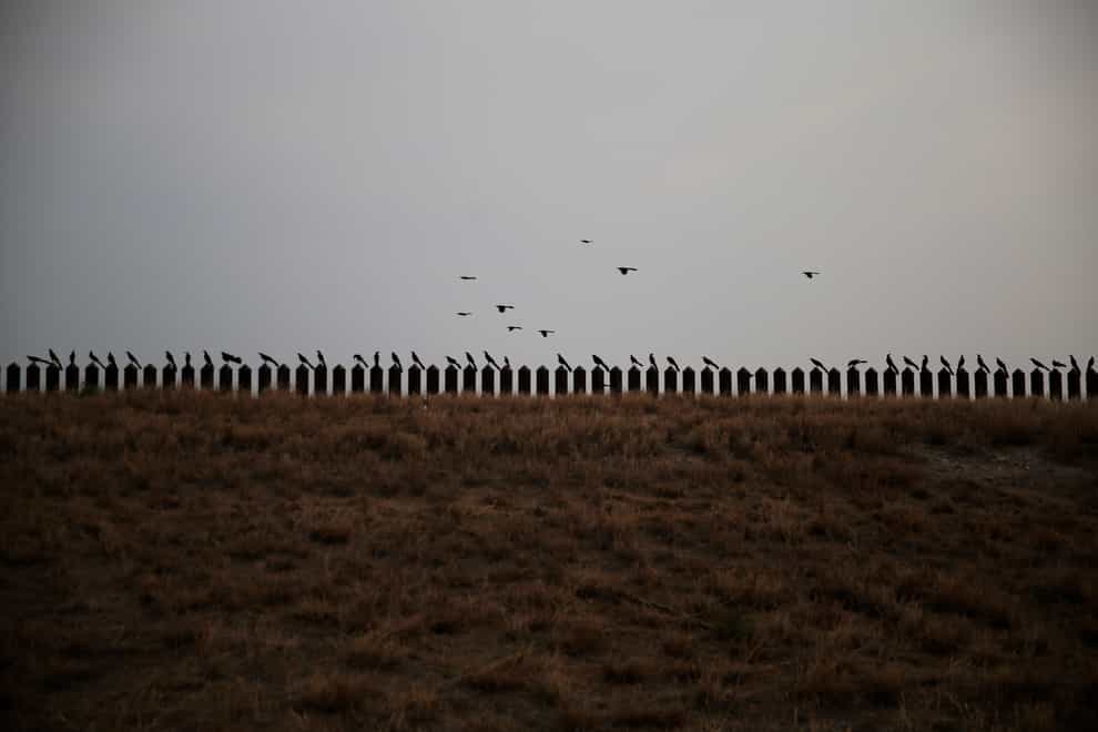 Birds perch on the top of the US-Mexico border fence in Penitas, Texas (Dario Lopez-Mills/AP)