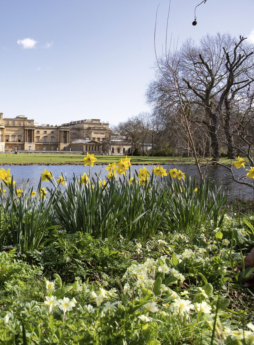 The garden at Buckingham Palace in spring