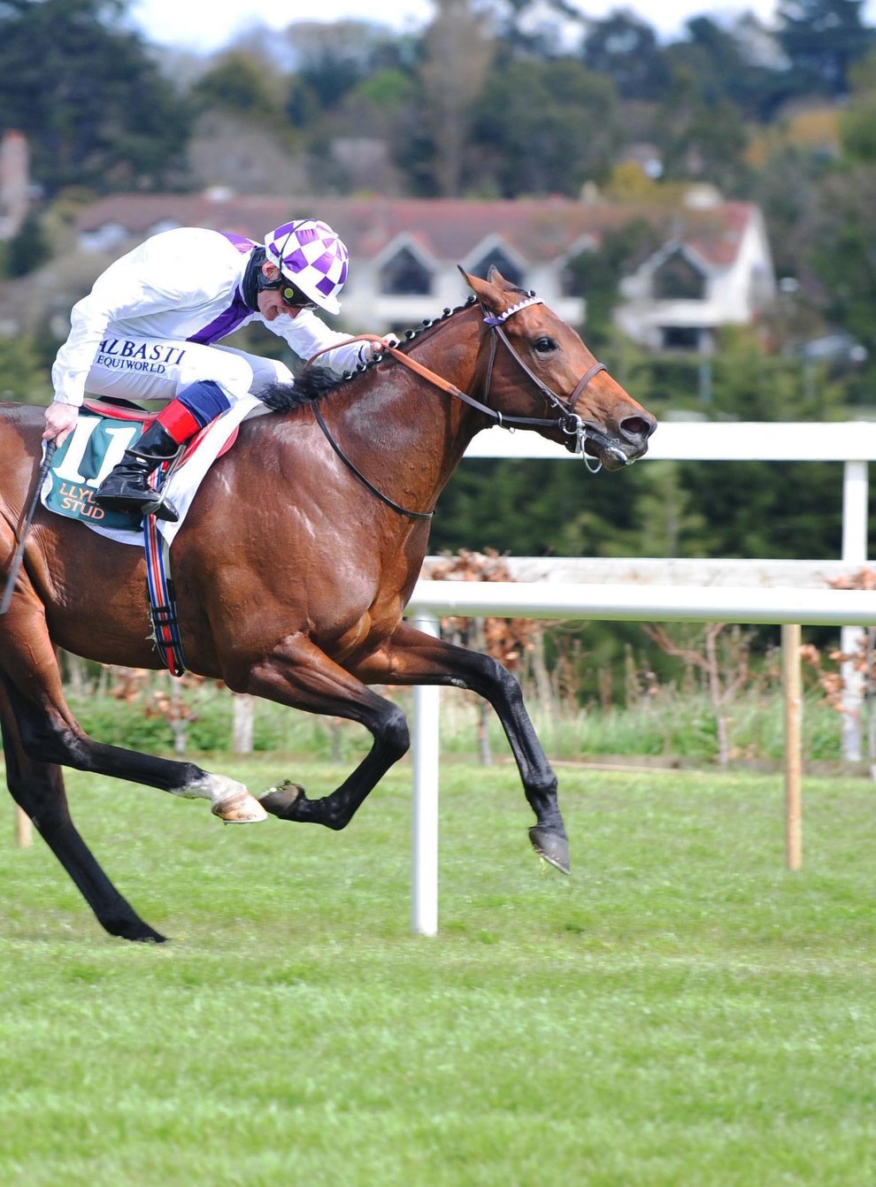 Poetic Flare on his way to victory at Leopardstown
