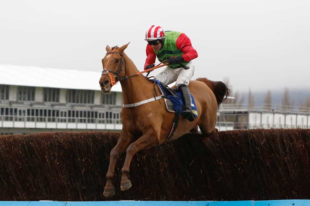 Definitly Red in winning action at Cheltenham