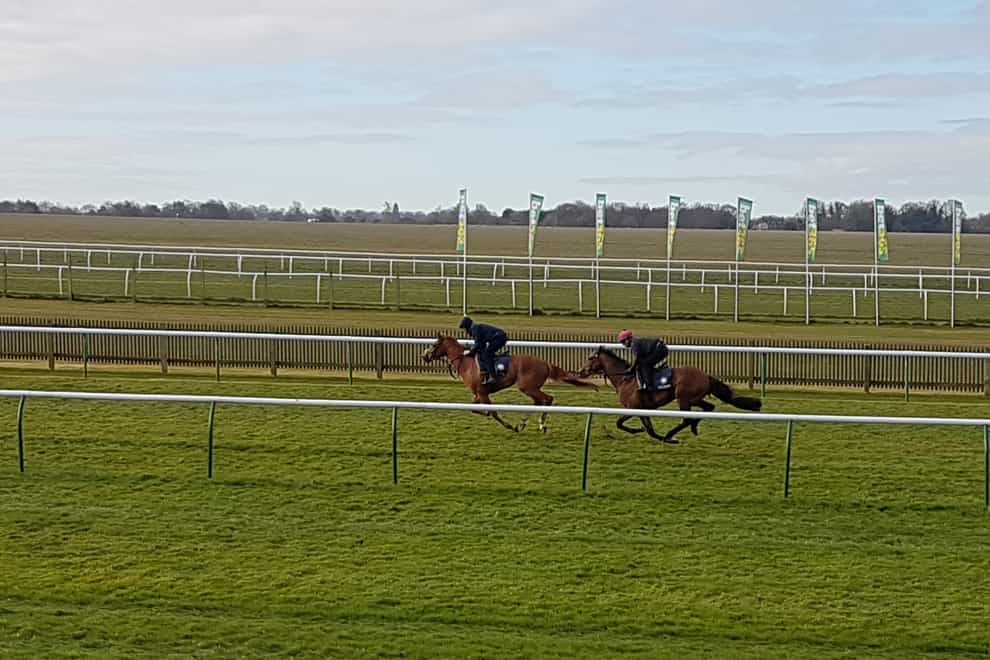 Irish Legend (right) goes through his paces on the Rowley Mile