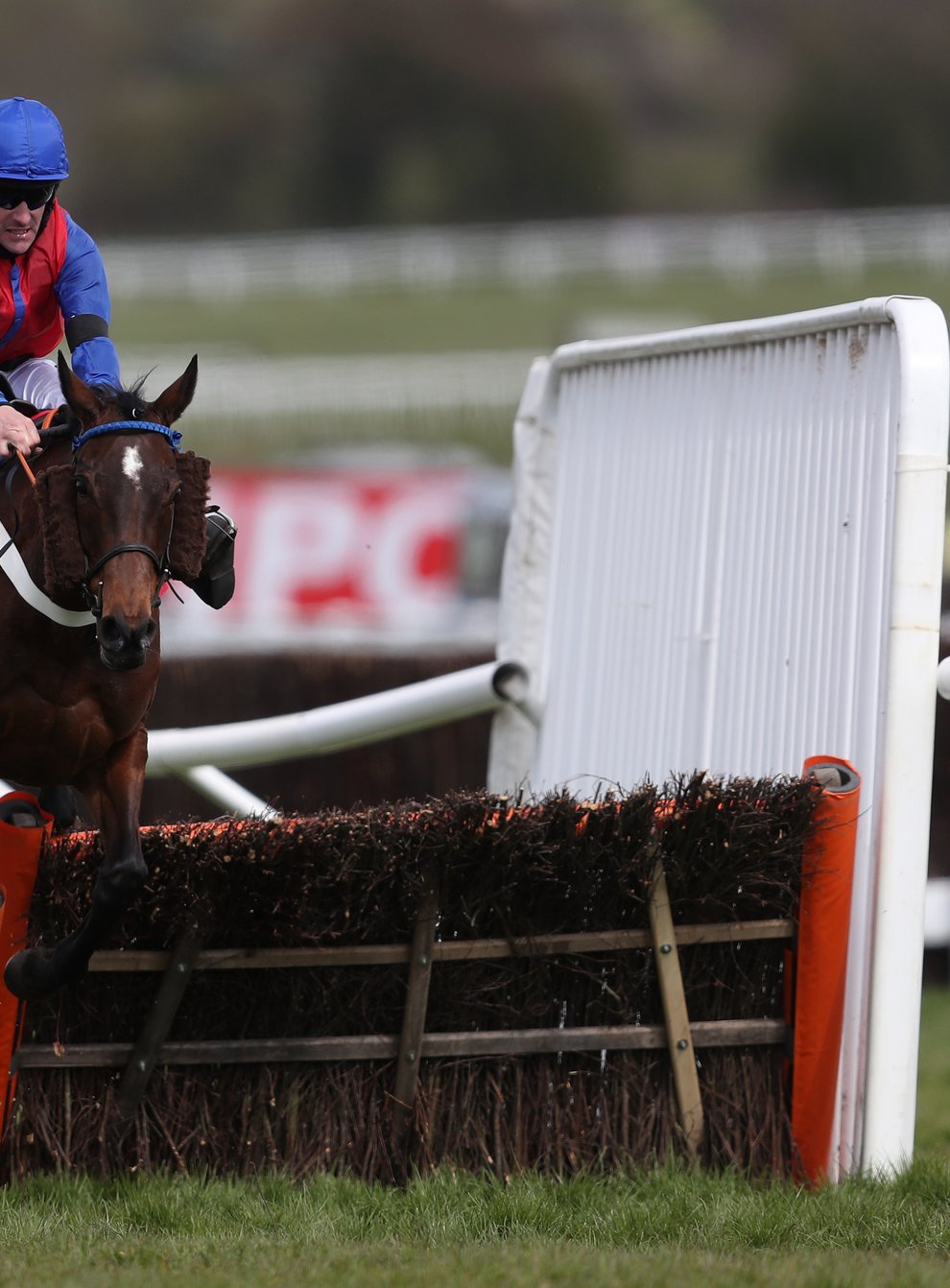 Bannixtown Glory and Brian Hughes coming home to win the Citipost Mares’ Handicap Hurdle at Cheltenham