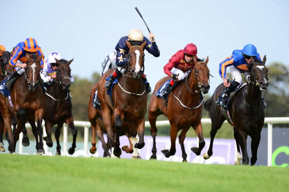 Know It All (second right) in action in the Matron Stakes at Leopardstown