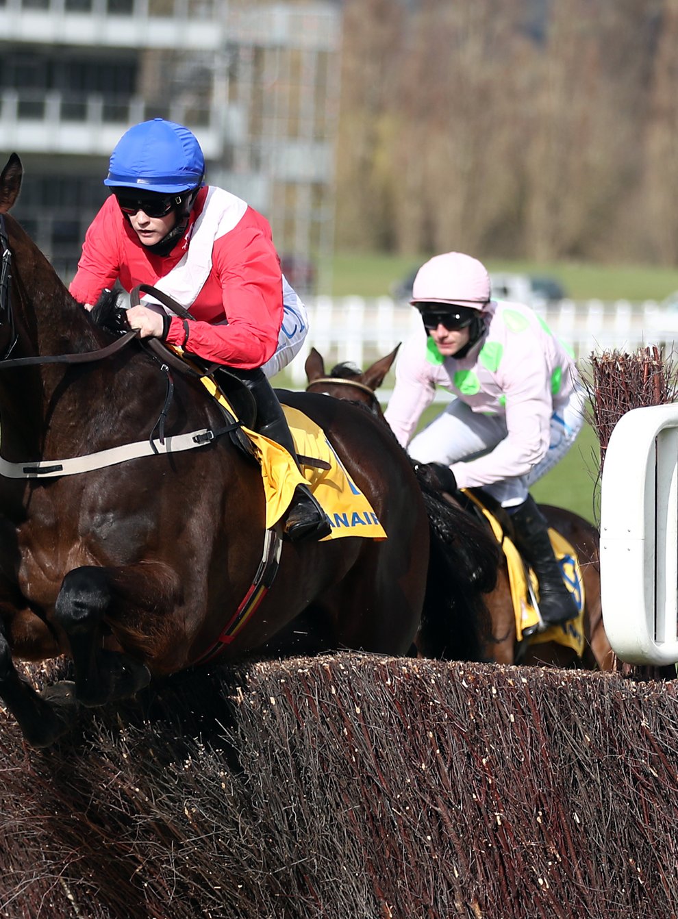 Allaho will be one of the stars on show on the opening day of the Punchestown Festival