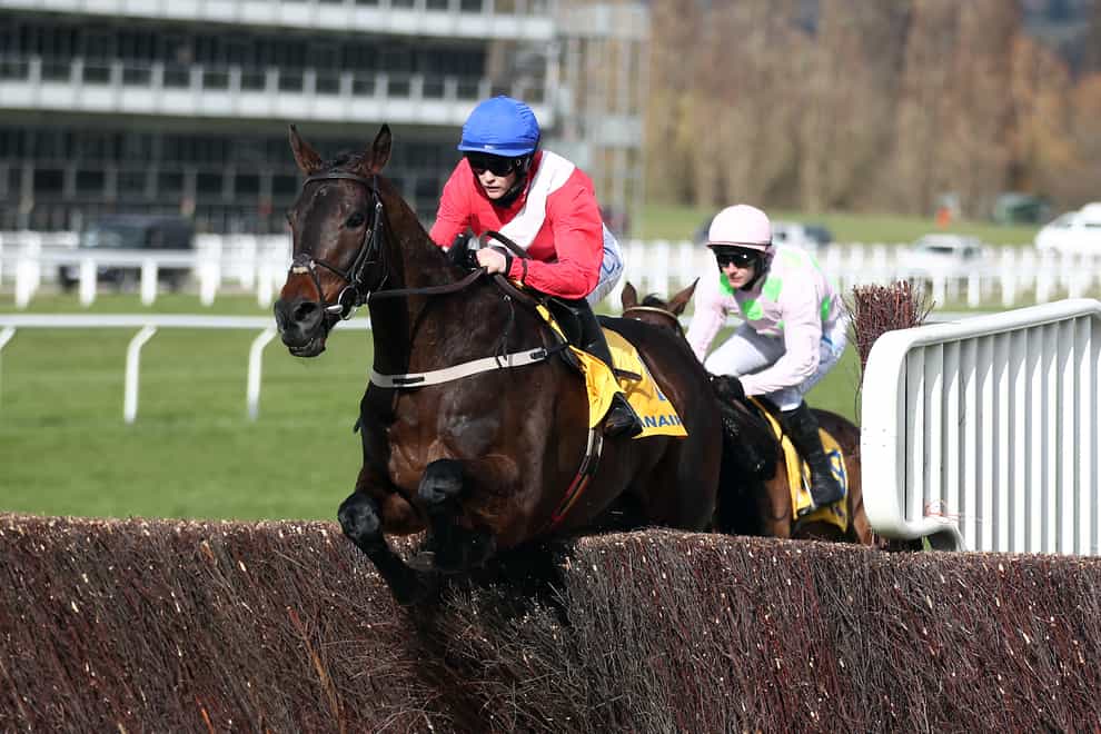 Allaho will be one of the stars on show on the opening day of the Punchestown Festival