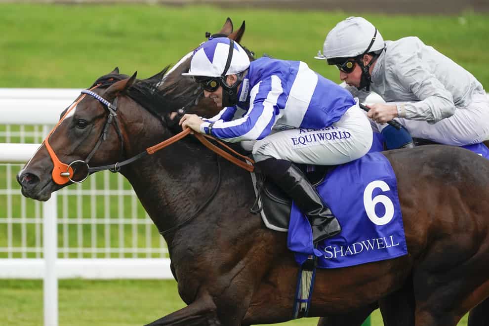 Longlai, ridden by jockey Pat Dobbs, wins The Shadwell Novice Stakes from Golden Flame and William Buick (silver) race at Salisbury Racecourse, Wiltshire