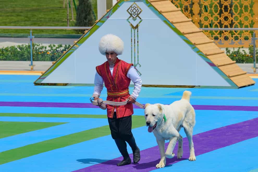 A man dressed in a national costume runs with his border guard shepherd dog Alabay during Dog Day celebration in Ashgabat, Turkmenistan (AP)