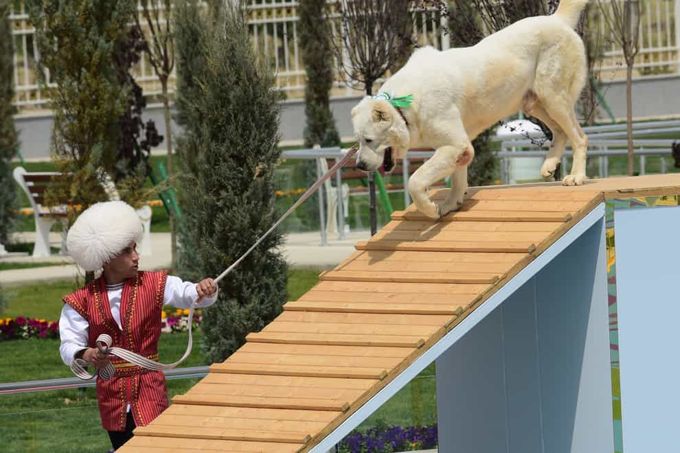 A man dressed in a national costume performs with his border guard shepherd dog Alabay during Dog Day celebration in Ashgabat, Turkmenistan. (AP Photo)