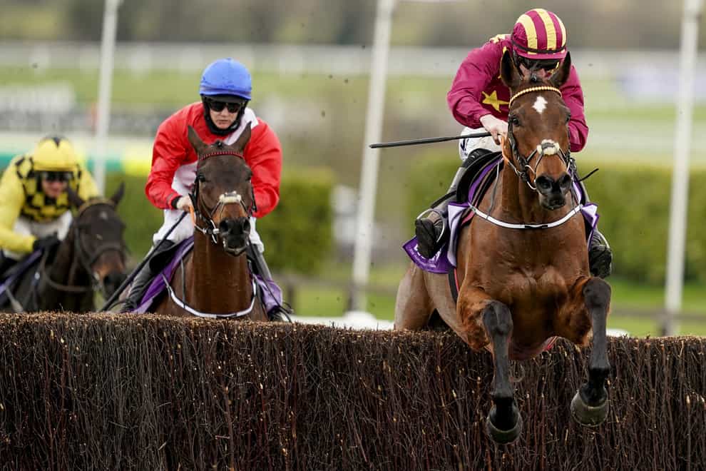 Cheltenham Gold Cup winner Minella Indo (right) bids to double up at Punchestown