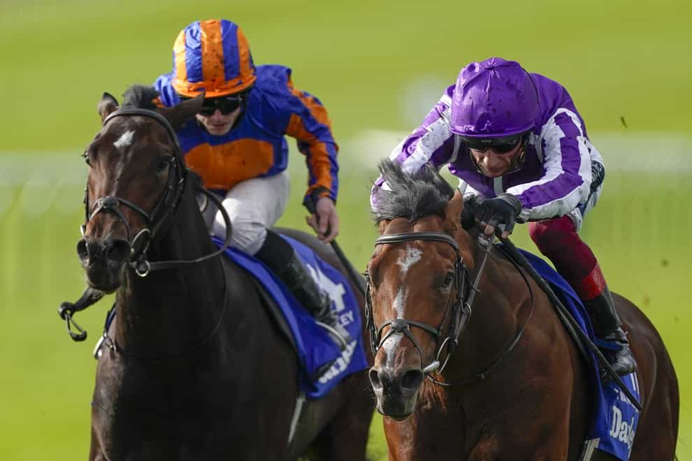 Stablemates Wembley (left) and St Mark's Basilica are on course to clash again at Newmarket on Saturday