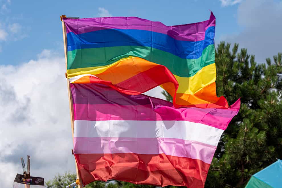 The LGBT flag and the lesbian visibility flag