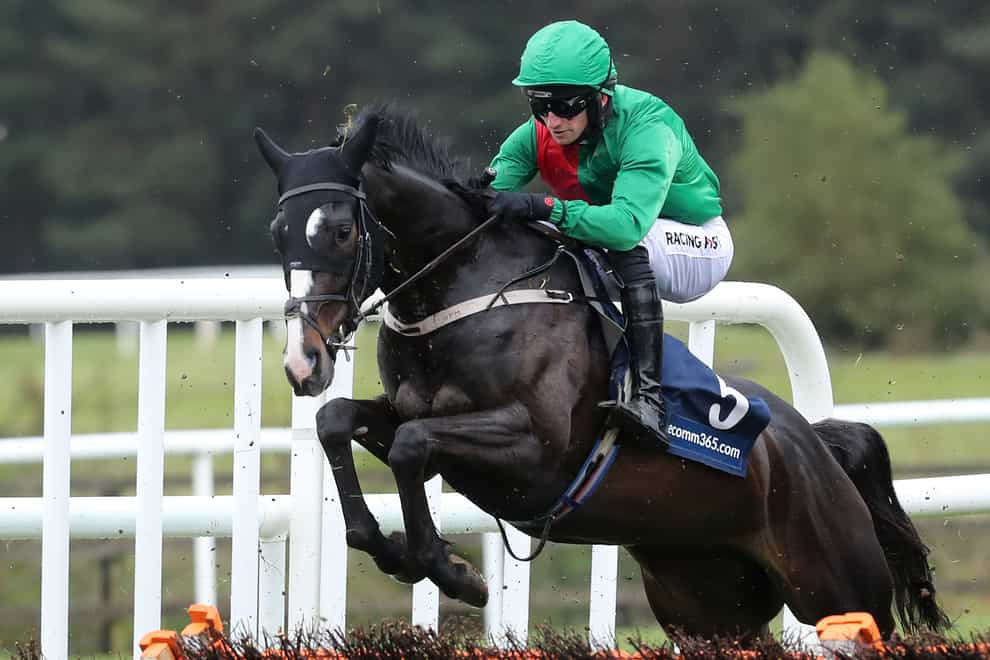 Echoes In Rain jumps the final flight at Punchestown