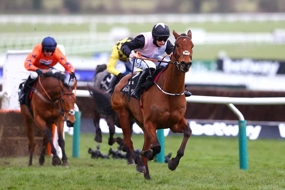 Bob Olinger was an easy winner at Cheltenham and will try to back that up at Punchestown