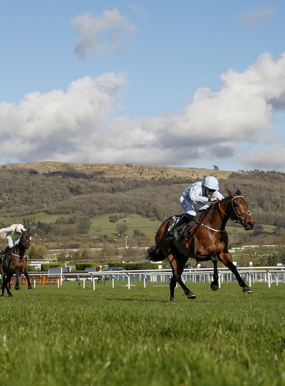 Honeysuckle leaves the opposition in her wake at Cheltenham in her wake and will try to do the same in the Paddy Power Champion Hurdle at Punchestown