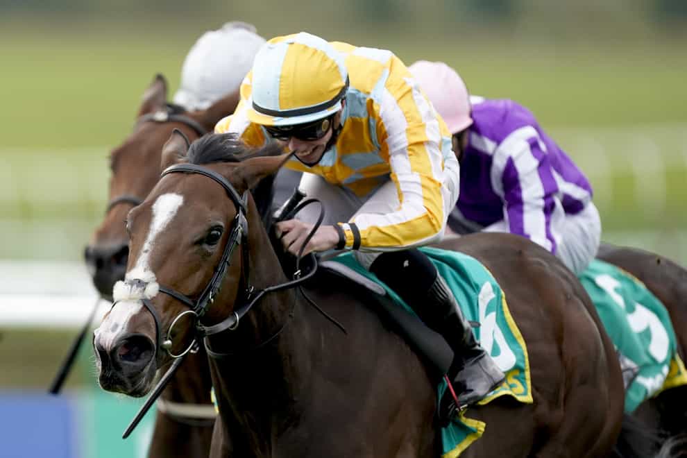 Pretty Gorgeous winning the Fillies' Mile at Newmarket