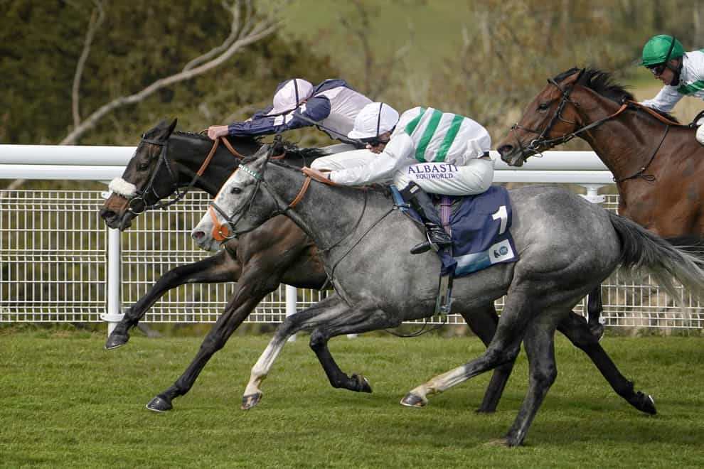 Alpinista (grey) just prevailed at Goodwood