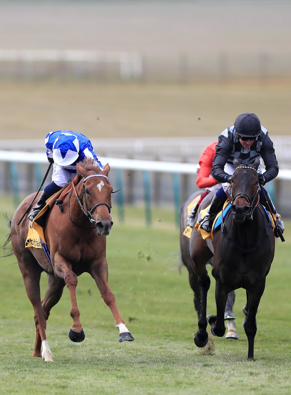 Lady Bowthorpe (left) battles to a narrow victory in the Betfair Dahlia Stakes