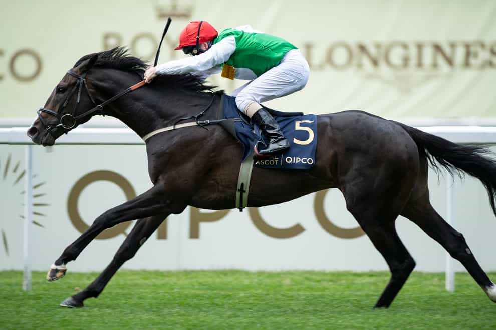 Pyledriver is all set for the Coronation Cup following his seasonal debut at Newmarket