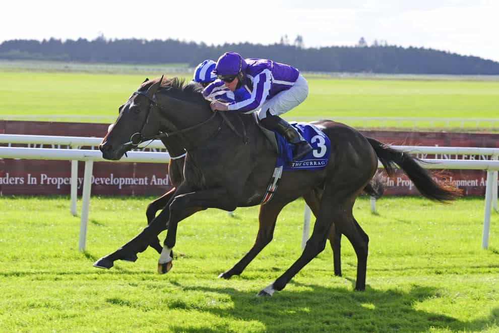High Definition is one of five Aidan O'Brien possibles for the Novibet Derby Trial at Lingfield