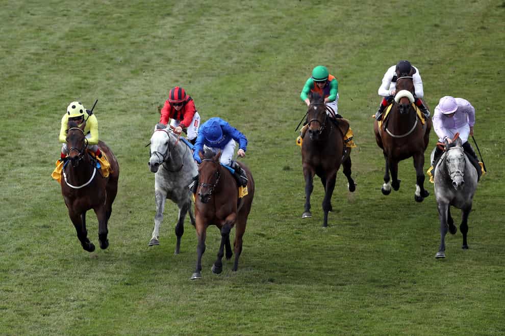 Came From The Dark (second left) was an unlucky loser at Newmarket - but is on target for Royal Asco