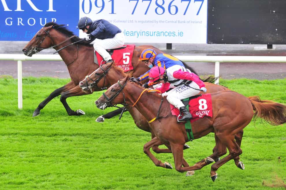 Ontario (top) winning at last year's Galway Festival