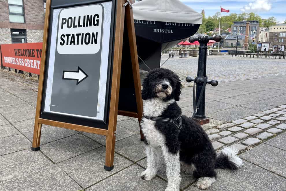 Dogs in polling stations