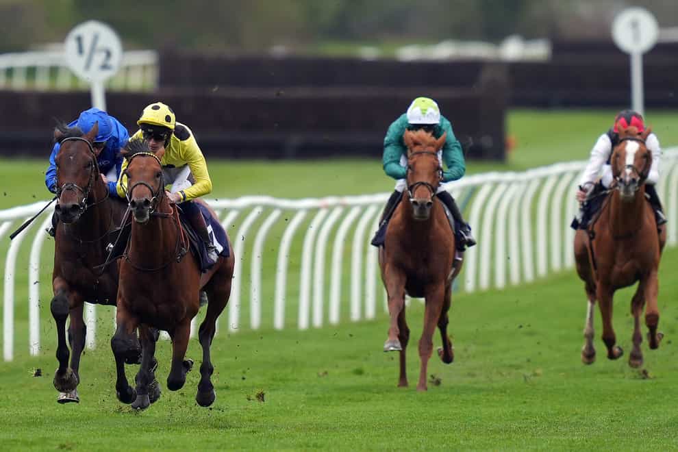 Third Realm (yellow) won the Derby Trial at Lingfield