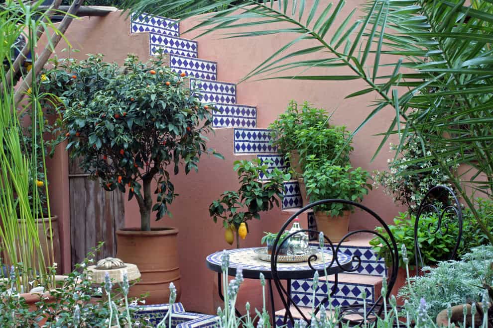 Moroccan-themed room with houseplants (alamy/PA)