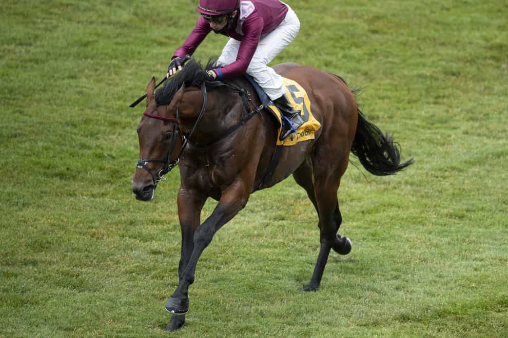 Mishriff is one of five Coral-Eclipse entries for John and Thady Gosden