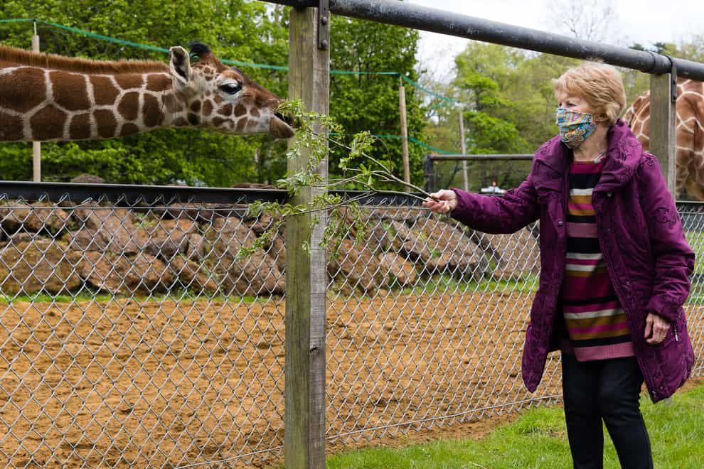 Margaret Keenan meets giraffe named after her at ZSL Whipsnade Zoo