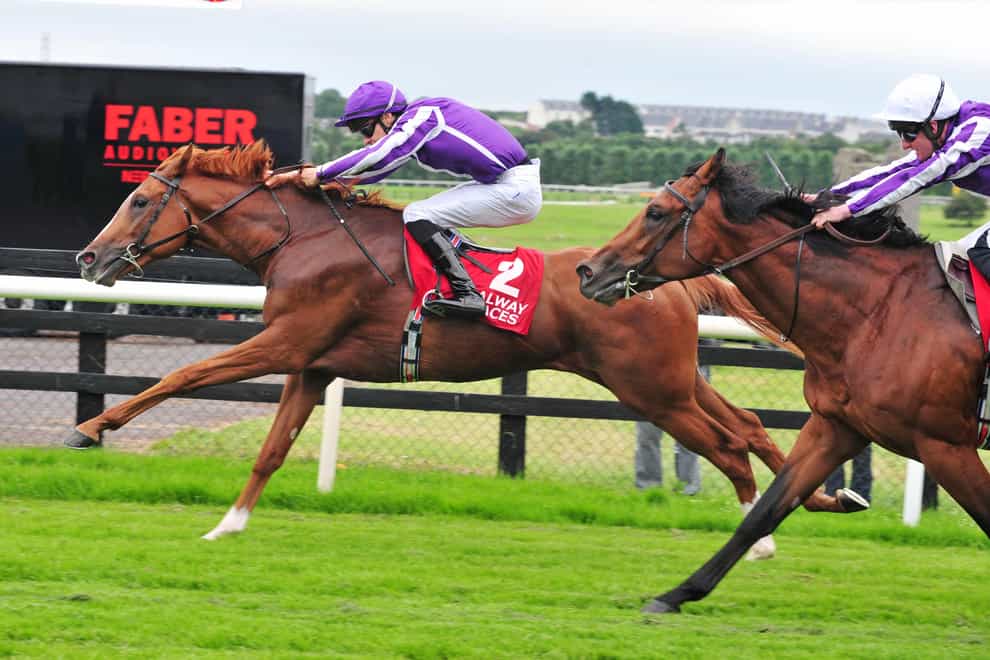 Emperor Of The Sun (left) produced a career-best to win the Listed Saval Beg Levmoss Stakes at Leopardstown