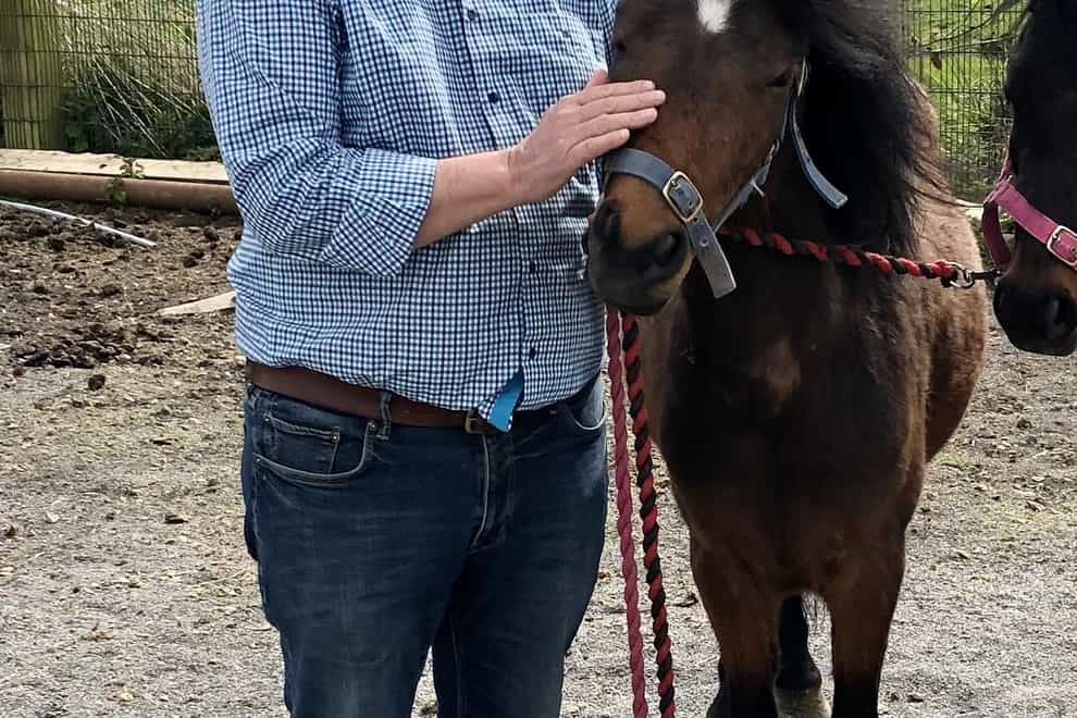 Poots with ponies detained by NI Protocol paperwork