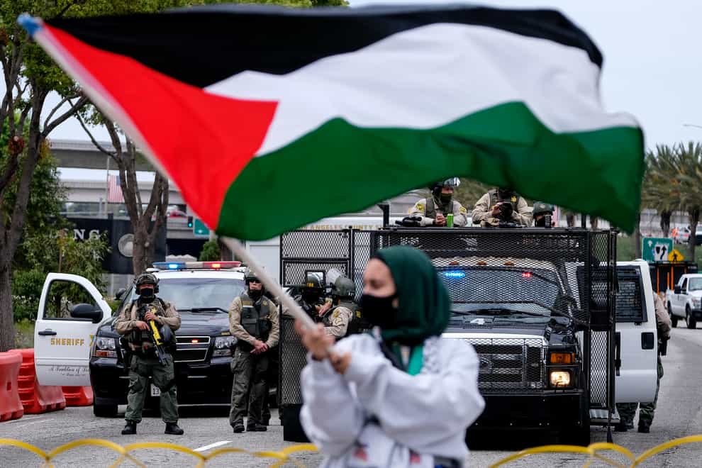 Pro-Palestine protester