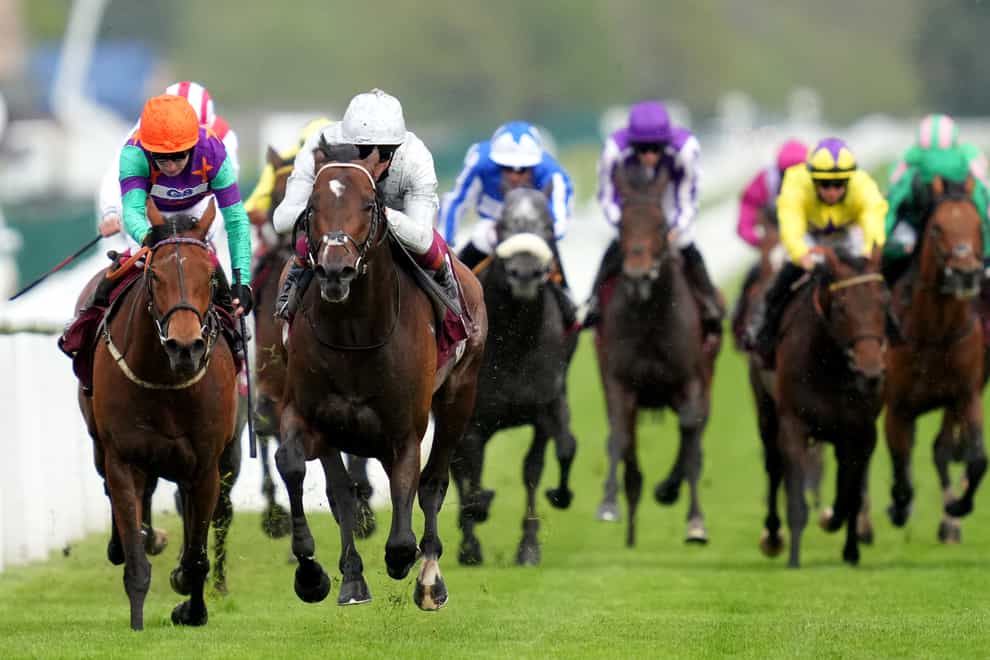 Lady Bowthorpe (left) chases home Palace Pier in the Lockinge Stakes at Newbury