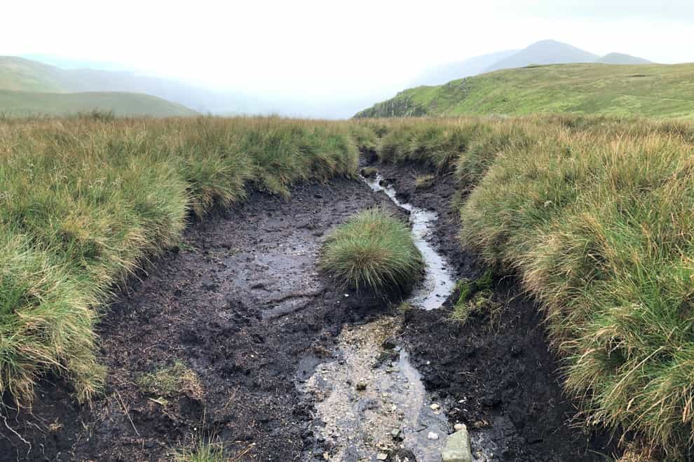 Upland damaged peat