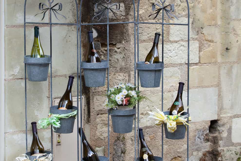 Bottles of wine in flower pots