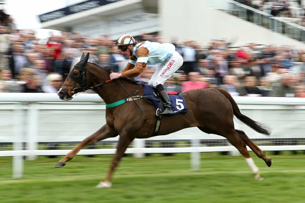 Caspian Prince bids to win the World Pool "Dash" Handicap at Epsom for a fourth time