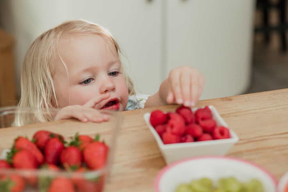 High angle view of a little girl raching over the top of a kicthen counter to grab some raspberries. She is looking for something to eat.