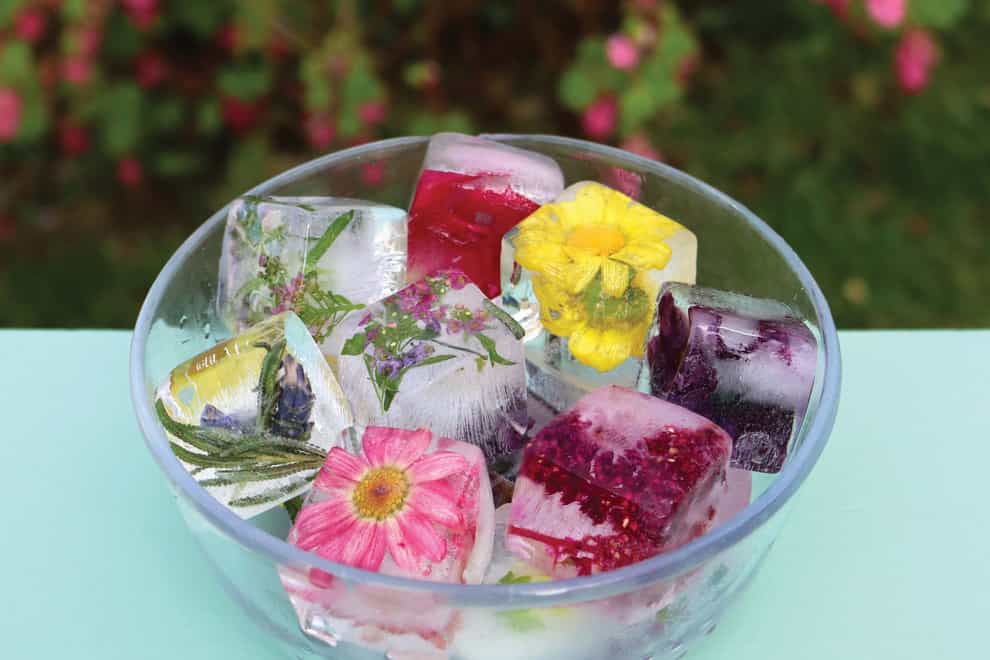 Ice cubes embedded with flowers (Tanya Anderson/PA)