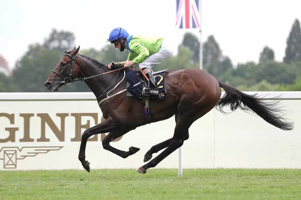 <p>Subjectivist comes home alone in the Gold Cup</p>