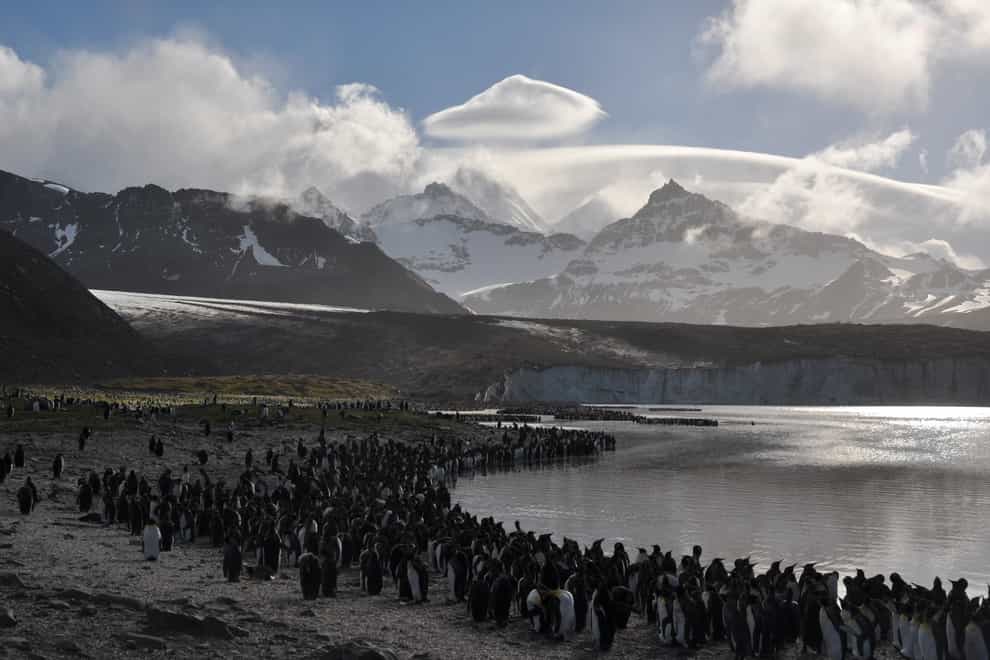 King penguins and glaciers (GSGSSI/PA)