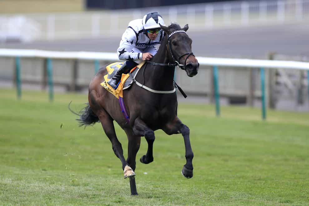 Mystery Angel winning the Listed Pretty Polly Stakes
