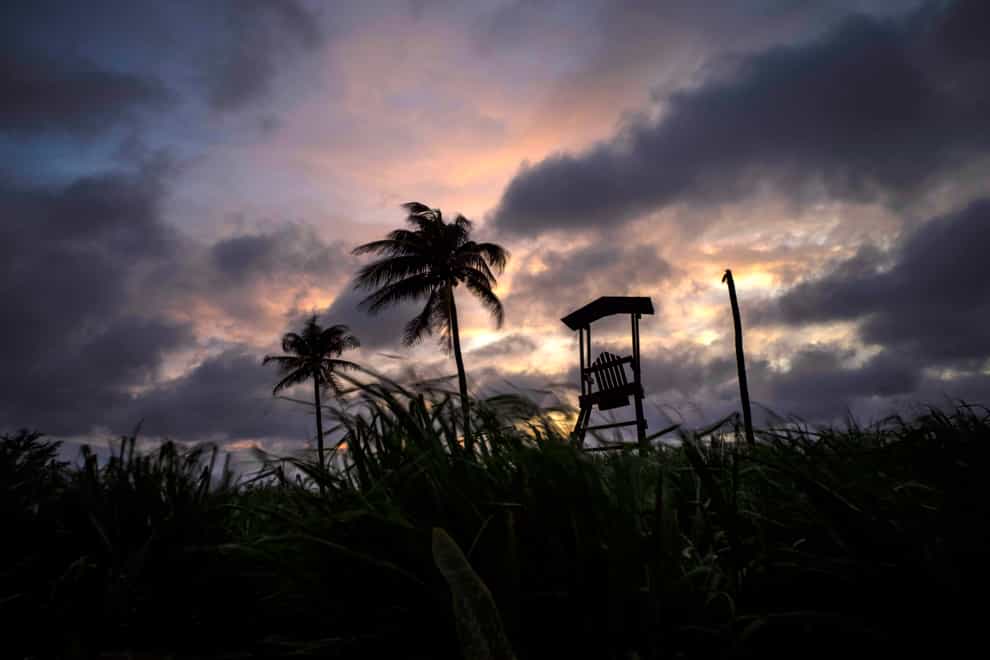 Winds move the grass and palm trees with the sky full of clouds after the passage of Tropical Storm Elsa, in Havana, Cuba