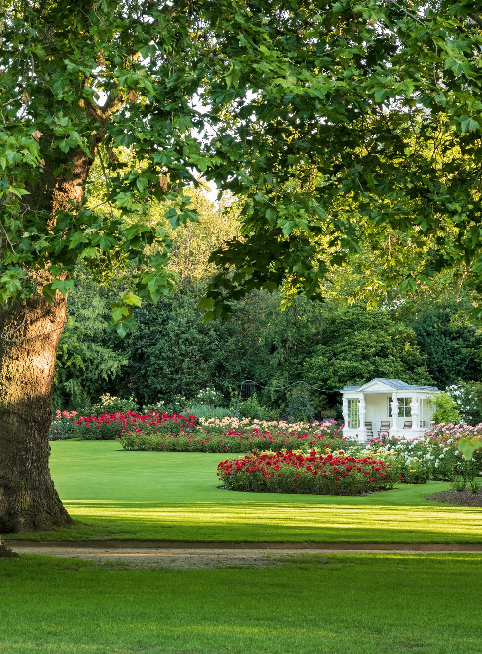 Buckingham Palace garden in bloom during the summer