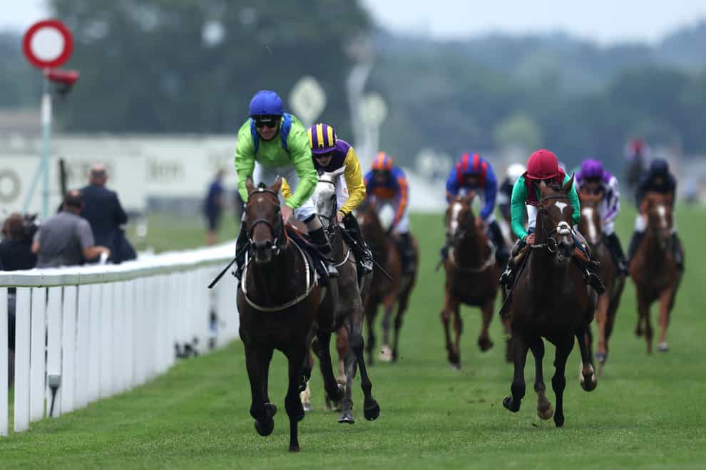 Ascot Gold Cup winner Subjectivist (left) has been ruled out for the rest of the season through injury