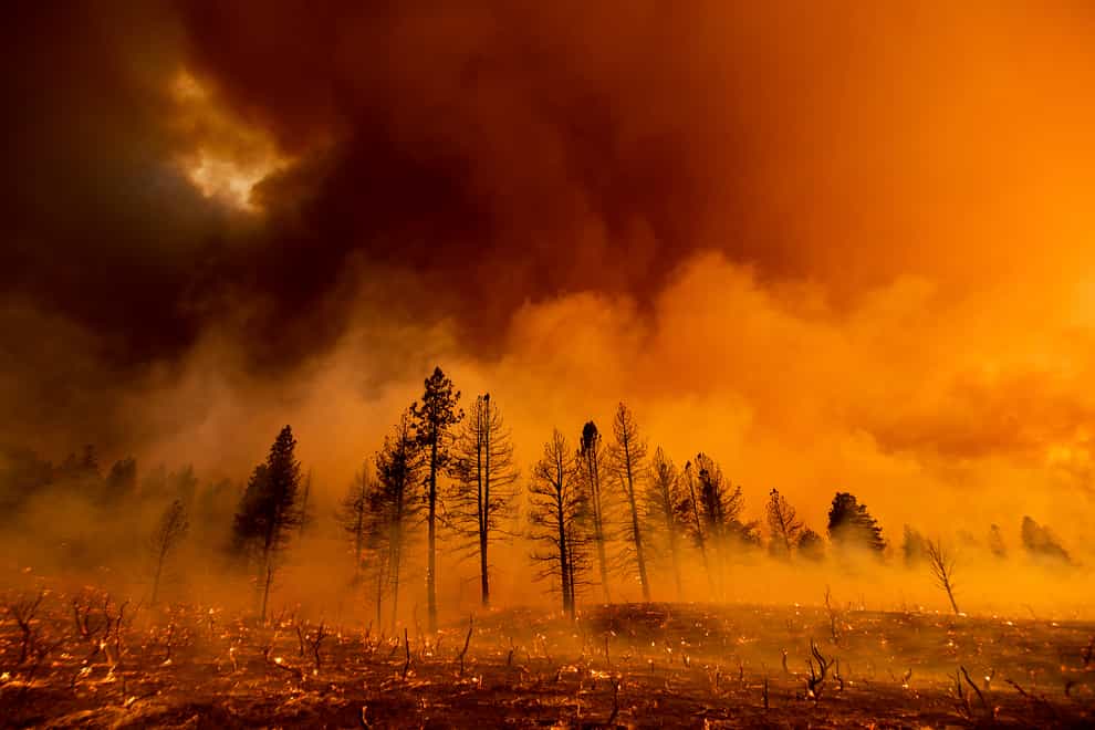<p>California Wildfires</p>