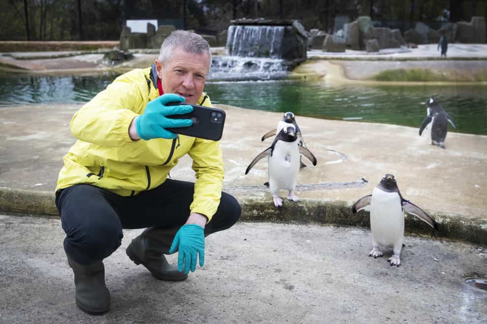 Willie Rennie with penguins