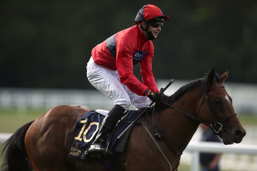 Chipotle after winning the Windsor Castle Stakes at Royal Ascot